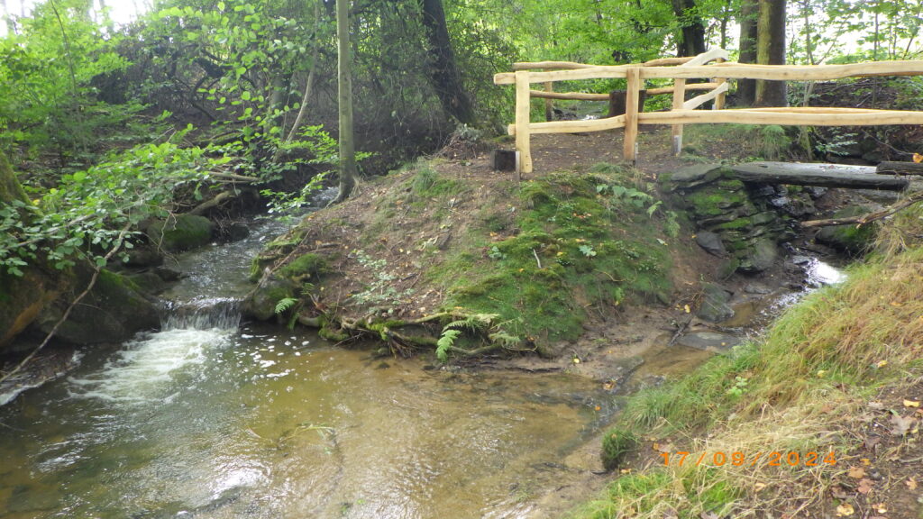 Blick auf die Holzbrücke mit Fluss davor